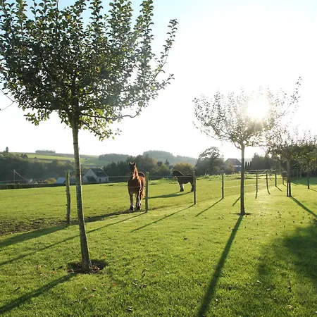 Luxurious In Falaen With Sauna 펜션