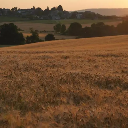 Luxurious In Falaen With Sauna * 마레드수스